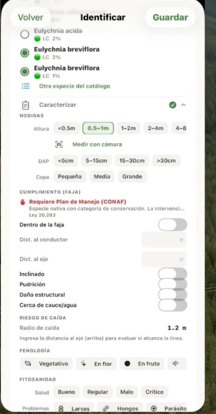 Ficha de caracterización del individuo